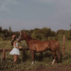 Конный клуб «Малинка»