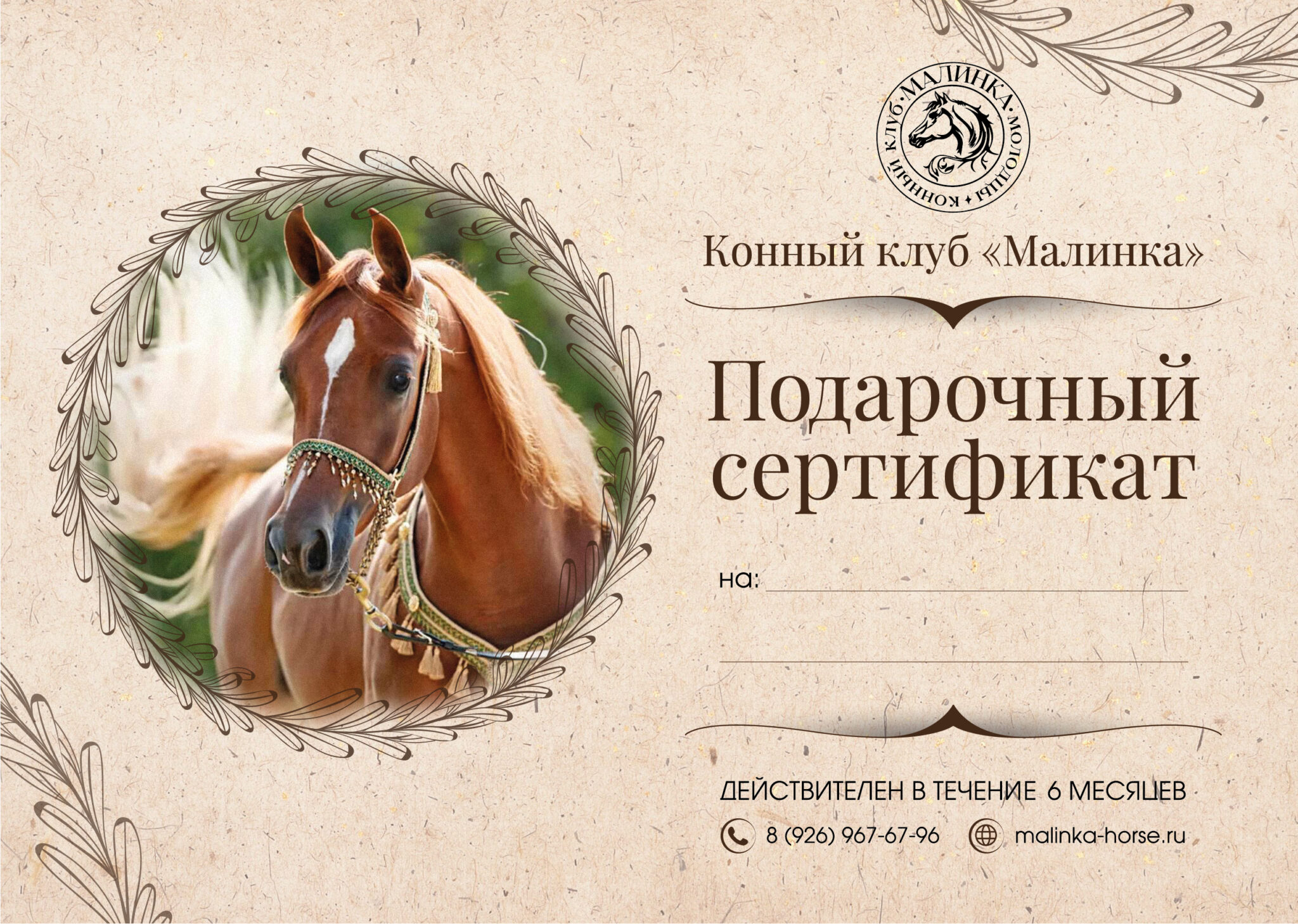 Подарочные сертификаты | Конный клуб «Малинка»